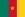 Bandiera Camerun