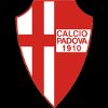 Associazione Calcio Padova