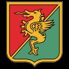 Ternana Calcio