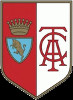 Associazione Calcio Torino