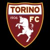 torinocalcio