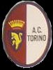 Associazione Calcio Torino
