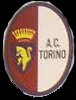 torino calcio