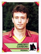 Amedeo Carboni 1993/1994