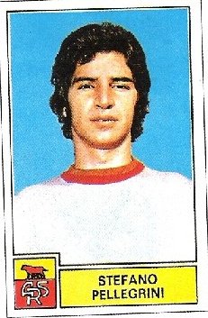 Stefano Pellegrini 1971/1972