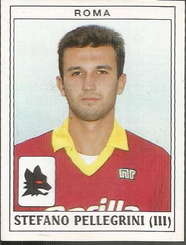 Stefano Pellegrini 1989/1990